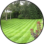Image of freshly cut grass